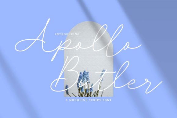 Apollo Butler: The Thin-Lettered Script for Elegant Design
