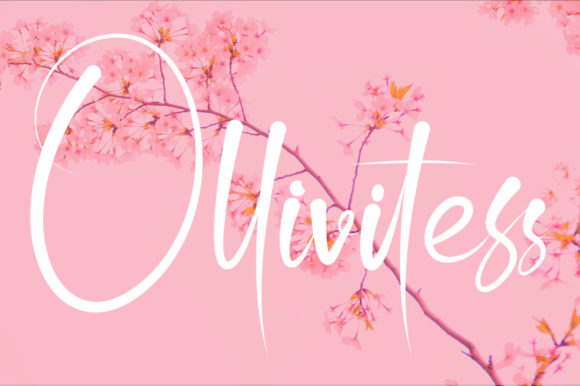 Ollivitess: The Dainty Script Font for Elegant Branding