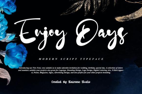 The Elegant Script Font for Modern Designers